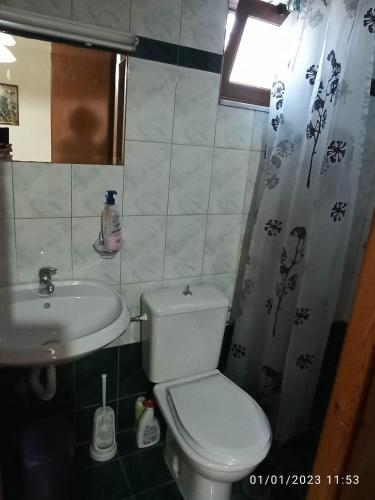 La petite salle de bains est pourvue de toilettes et d'un lavabo. dans l'établissement ΡΑΧΗ, à Kerasea