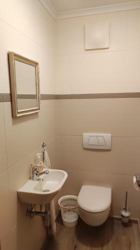 a bathroom with a sink and a toilet and a mirror at Appartement Moaeben in Alpbach
