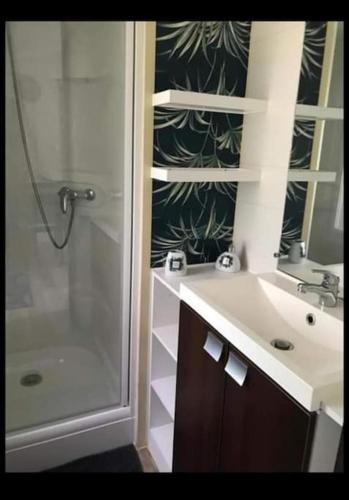 une salle de bain avec un lavabo et une douche dans l'établissement Mobil home 4-6 personnes bord de mer Argeles sur mer camping équinoxe, à Argelès-sur-Mer