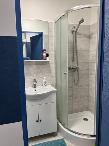 uma casa de banho com um chuveiro e um lavatório. em City Center Apartman 2. Nagykanizsa em Nagykanizsa