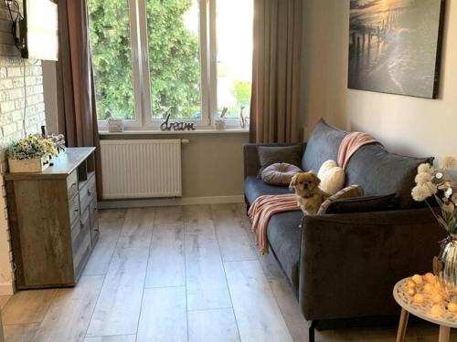 Apartment in Gdańsk near Brzeźno Pier