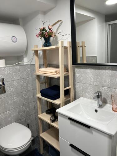 a bathroom with a sink and a toilet and a mirror at GREEN Apartment in Rīga