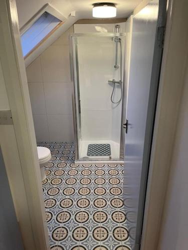 a bathroom with a shower and a toilet at Glencree Air in Kilmeaden