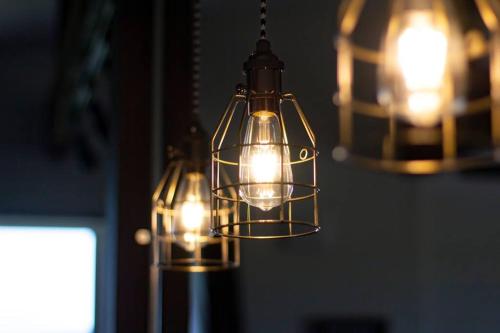 a group of lights hanging from a ceiling at Yadoya YADOKARI in Pippu