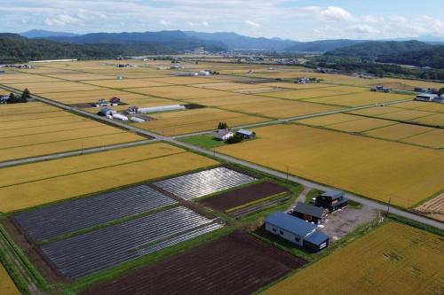 an aerial view of a farm with fields and trucks at Yadoya YADOKARI in Pippu