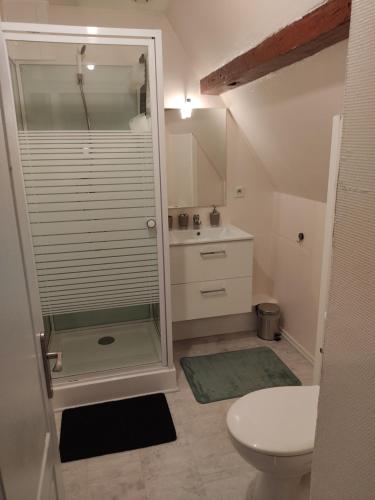 ein kleines Bad mit einer Dusche und einem WC in der Unterkunft Azede in Niederhergheim