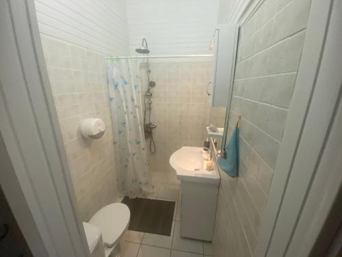 uma casa de banho com um WC, um chuveiro e um lavatório. em Chez Tata et Didi em Grand-Bourg