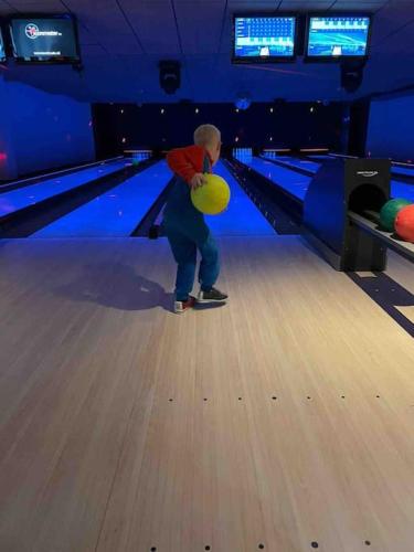 a boy throwing a frisbee in a bowling alley at Chalet Toetje op de Veluwe in Hoenderloo