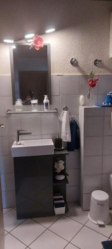 a bathroom with a sink and a toilet at Trixi in Kastellaun