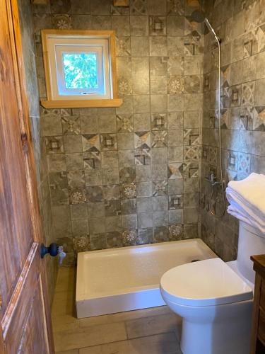 baño con aseo y ducha con ventana en Cabañas Aliwen isla Quehui, en Castro