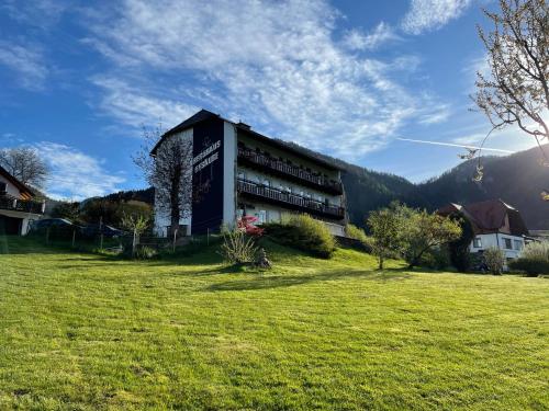a large building in a field with a grass yard at Berghaus Gesäuse Pension in Weng im Gesäuse