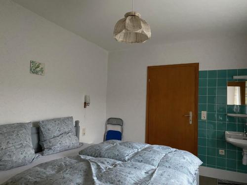 - une chambre avec un lit et un lavabo dans l'établissement Sabine’s Gästehaus, à Übereisenbach