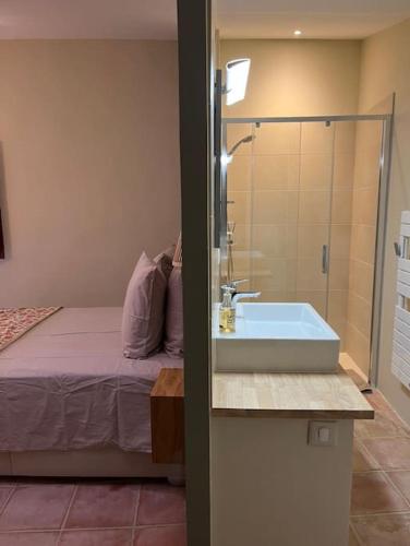 La salle de bains est pourvue d'un lavabo à côté d'un lit. dans l'établissement La Planette, à Venasque