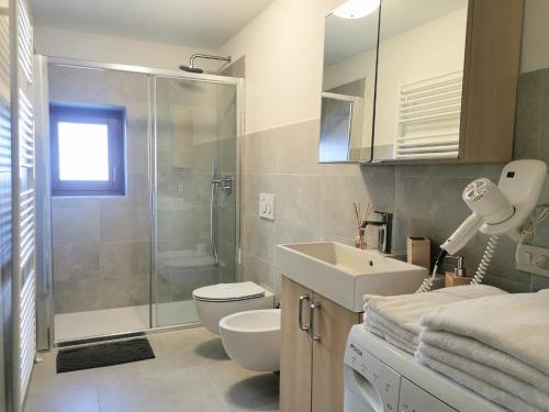 La salle de bains est pourvue de toilettes, d'un lavabo et d'une douche. dans l'établissement Cesa da Riz, à Colle Santa Lucia