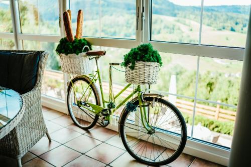 a bike parked next to a window with plants in baskets at Karolowy Dwór in Wisła