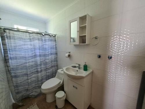 a bathroom with a toilet and a sink and a shower at Cabaña en Bahía Murta, equipada para 4 personas in Bahía Murta