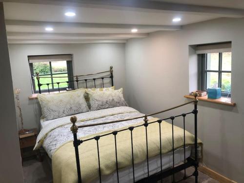 a bedroom with a bed and two windows at Hopesgate Cottage - Roscrea in Roscrea