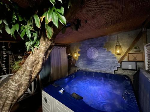 a large blue tub in a room with a tree at Ti Kaz Vacoas in Saint-Louis