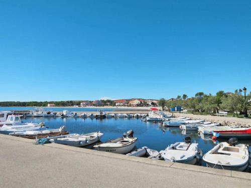 a bunch of boats are docked in a marina at Joso Dalmatia in Vir