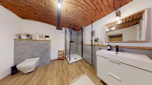 a bathroom with a toilet and a sink and a shower at Romantická chalupa s krbem in Hořice na Šumavě