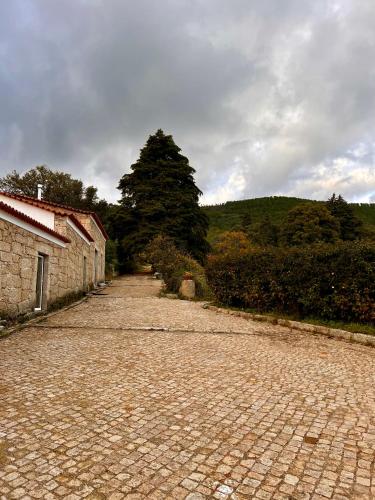 a cobblestone road next to a building and a tree at Quinta da Porta - Solar de Vale de Prazeres in Vale de Prazeres