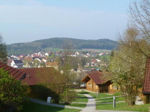 a small town with houses and a winding road at Ferienhaus Chalet Blockhaus Bayern in Stamsried