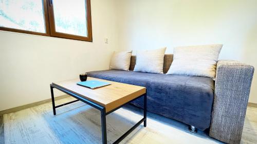 a living room with a couch and a table at Tiny Apartment in Apuseni Mountains 