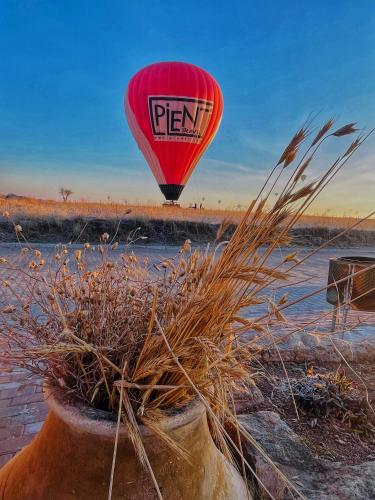 a hot air balloon is flying over a plant at Soleado Cappadocia Hotel in Uchisar