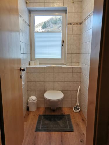 a small bathroom with a toilet and a window at Bella Vista Apartments in Nauders