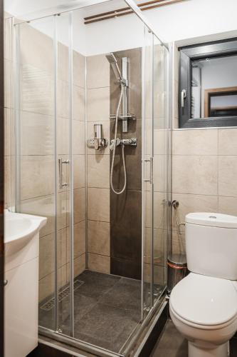 a bathroom with a shower with a toilet and a sink at Atelier Recreation Village in Râşnov