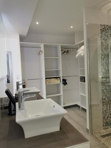 une salle de bain avec un lavabo et une douche dans l'établissement Gîte Ladeveze, à Nérac