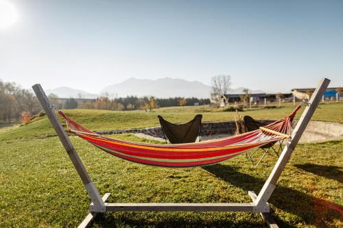 a hammock sitting in a field in the grass at Atelier Recreation Village in Râşnov