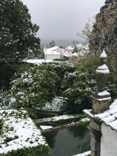 a garden covered in snow with a pond at Quinta da Porta - Solar de Vale de Prazeres in Vale de Prazeres