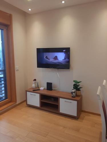 TV a/nebo společenská místnost v ubytování Falcon Zlatibor