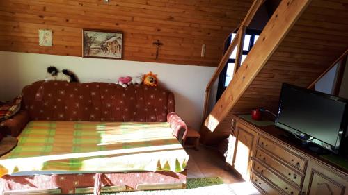 un soggiorno con divano e TV a schermo piatto di Kuća za odmor VITICA s vanjskim kaminom a Kupres