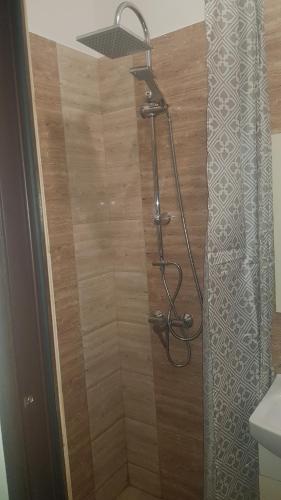 una doccia con soffione in un bagno di apartament Karla Indigo a Oradea