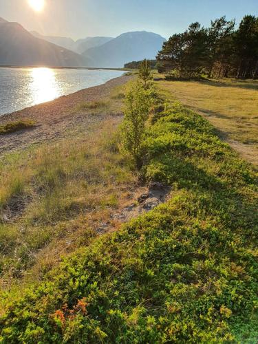 a grassy field next to a body of water at Strandbu Camping in Skibotn