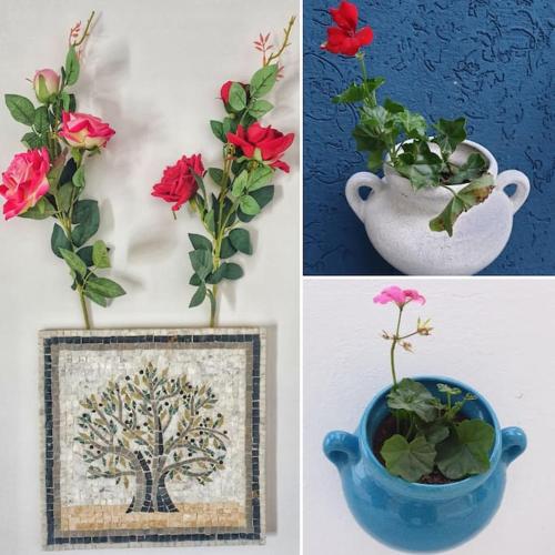 a collage of pictures of flowers in a blue vase at The jewel of the coast in Sousse