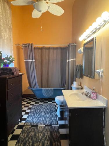 a bathroom with a shower and a toilet and a sink at Grand Gables Inn in Palatka