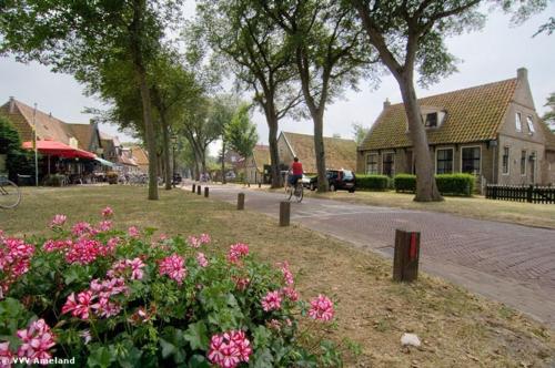 a person riding a bike down a street with pink flowers at TIME-OUT met ZONNIG TERRAS, eigen KEUKEN, Dichtbij Dorp, Duinen, Strand en Vuurtoren , Incl verwarmd Hotel-ZWEMBAD in Hollum
