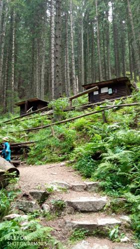 a trail in the woods with a cabin in the background at Villa pod hviezdami Jasná in Demanovska Dolina