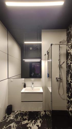 a white bathroom with a sink and a shower at Hanza Tower Studio in Szczecin