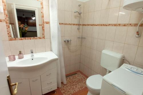 ein Bad mit einem Waschbecken, einem WC und einer Dusche in der Unterkunft Londira Apartman Hévíz in Hévíz