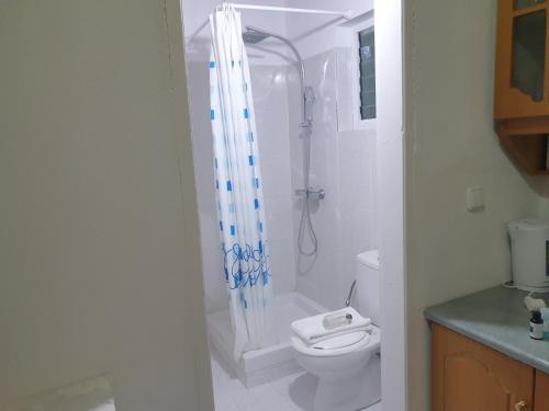 a white bathroom with a shower and a toilet at Rosemary House in Sarandë