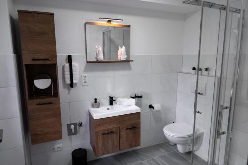 a bathroom with a toilet and a sink and a shower at RIMA Apart‘s in Heiterwang