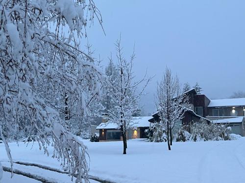 La Aguada зимой