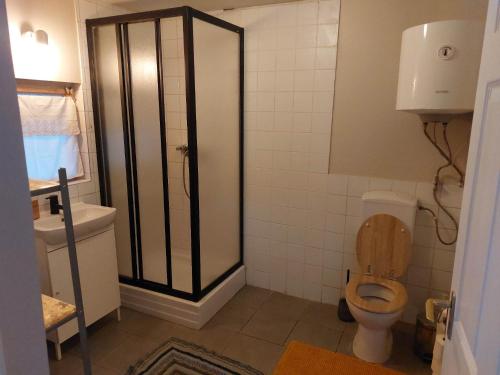 La petite salle de bains est pourvue de toilettes et d'un lavabo. dans l'établissement Szentendrei sziget, modern faház, télen is, à Szigetmonostor