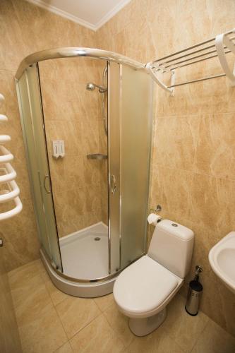 a bathroom with a shower with a toilet and a sink at Tartak Resort in Pasiky-Zubryts'ki
