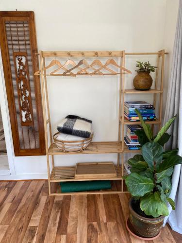 a book shelf with books and a plant in a room at Bellshala bungalow in Bellbrae