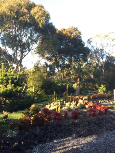 a garden with cacti and flowers in a park at Bellshala bungalow in Bellbrae